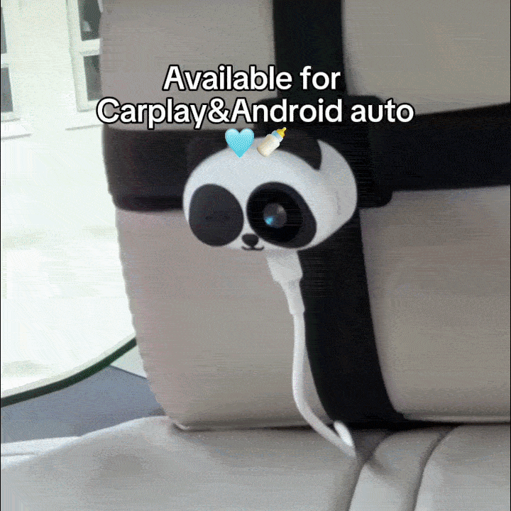 The Official - PANDA SAFETY CAMERA