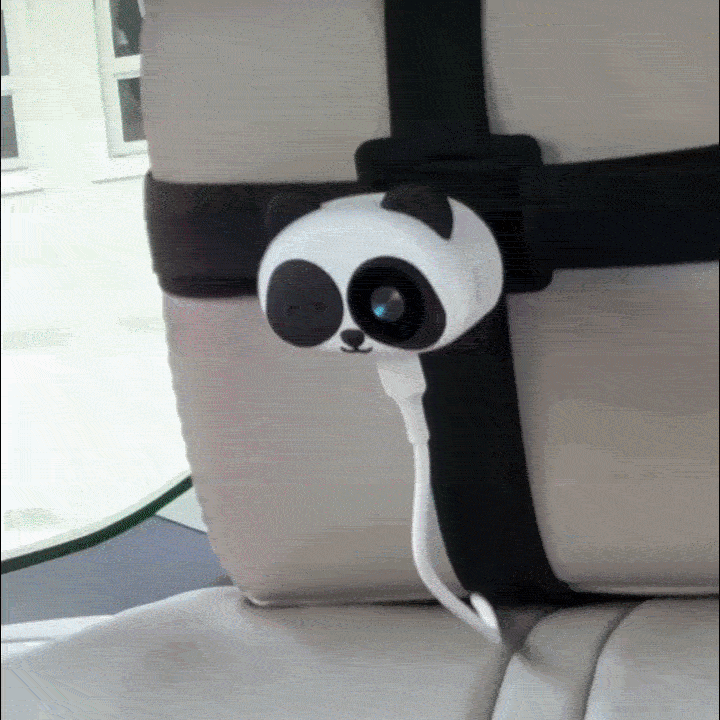The Official - PANDA SAFETY CAMERA