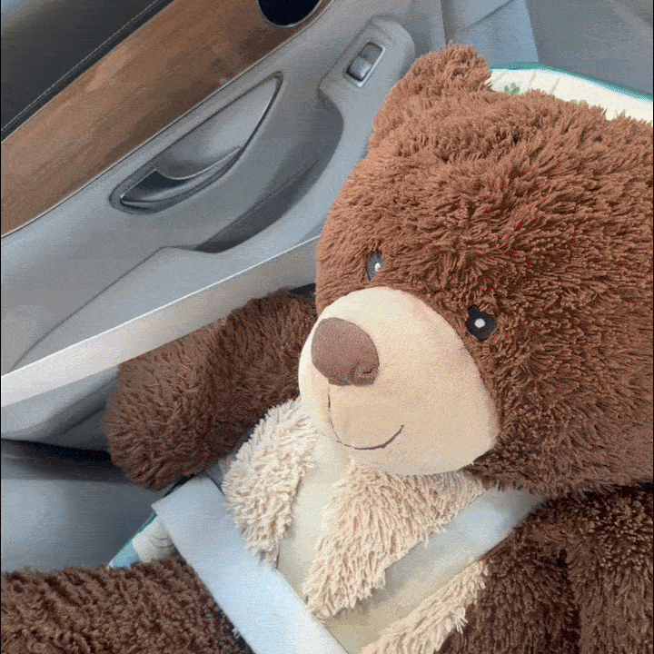 The Official - BABY SAFETY CAMERA